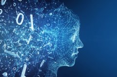 也有部门机择取OpenAI合做